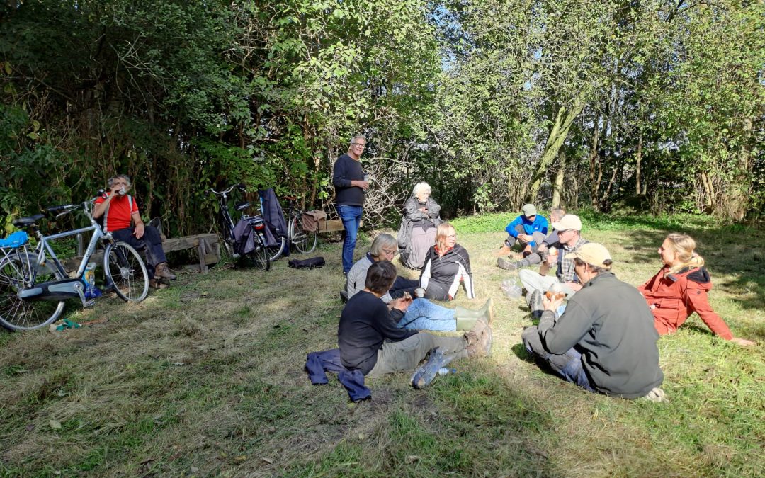 Picknick in het gras